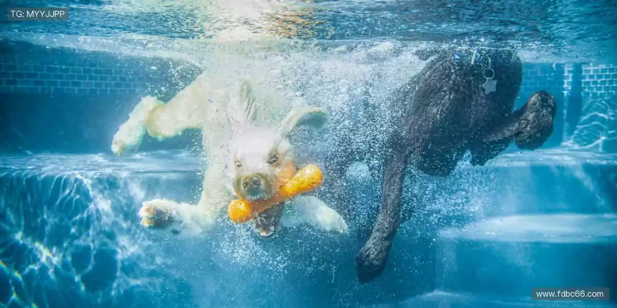 🎮 一键开启，畅享沉浸式体验！🌟